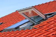 Tidpit roof window
