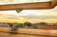 rated Tidpit roof window companies
